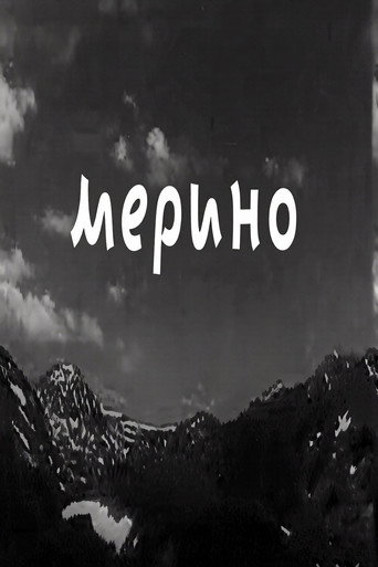 Merino