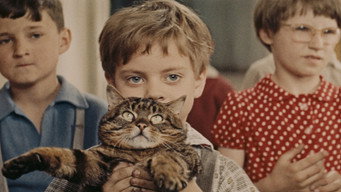 #5 When the Cat Comes