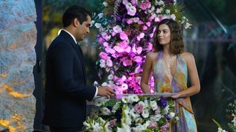 Episódio Episódio 2 da série O Canto do Pássaro