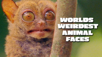 World's Weirdest Animal Faces (2015-2016)