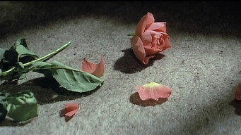 Apartment Wife Tied Up (1980)