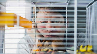 Der Hamster (2015)