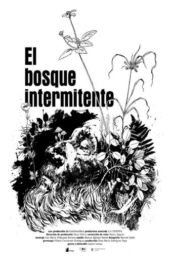 El bosque intermitente poster