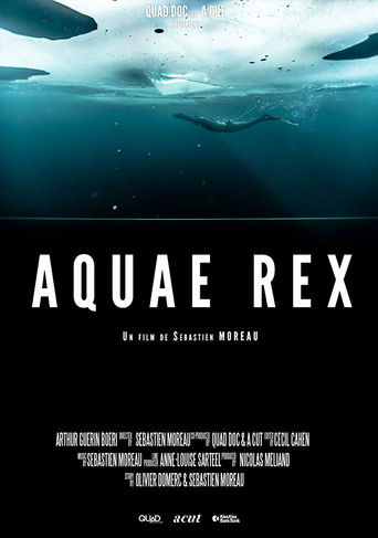 Aquae Rex poster