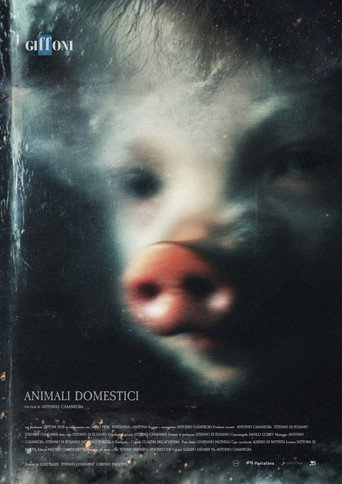 Animali Domestici (2026)