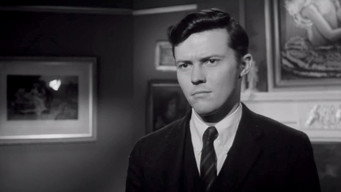 Galeria 5 - Demencia 13