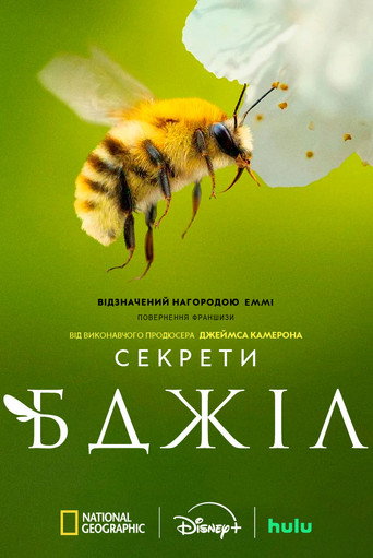 Poster 10
