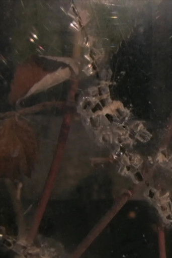 Carnet Perçu poster