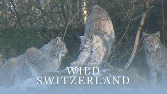 Wild Switzerland (2018-2019)