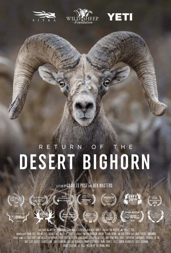 Return of the Desert Bighorn (2018)