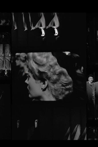 Magic Mirror Maze (2012)