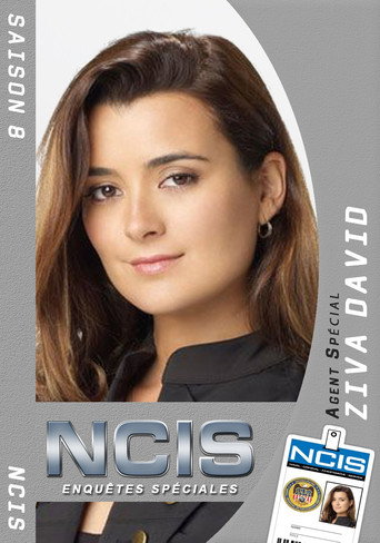 NCIS : Enquêtes Spéciales - S8 - Poster