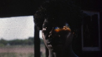 #45 Walkabout