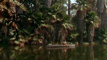 #8 Seminole