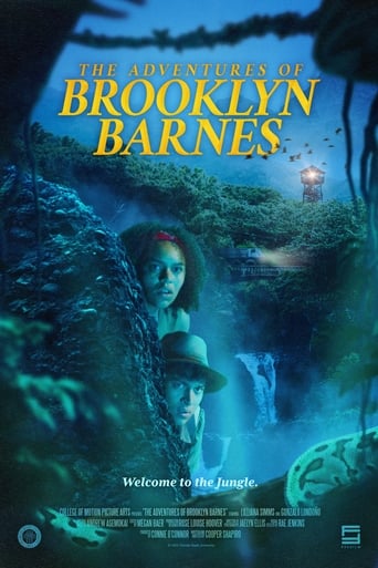 Poster of The Adventures of Brooklyn Barnes