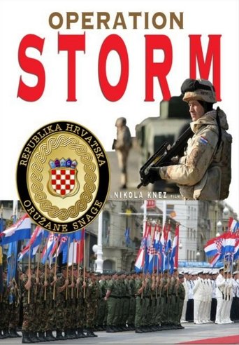 Operation Storm poster