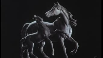 Song of the Horse (1970)