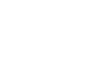 Spirit Untamed logo