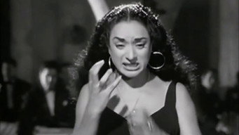 Oh Pain, Little Pain, Pain! (1953)