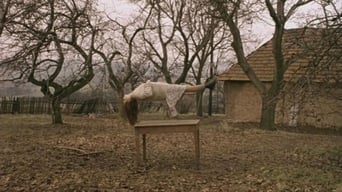 The Garden (1995)