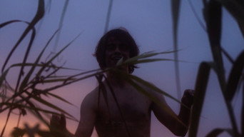 Zucchini (2025)