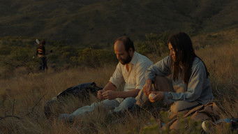 Galeria 1 - Los delincuentes