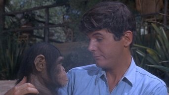 Daktari - S2E11