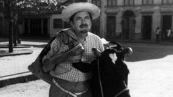 No Paraíso das Solteironas (1968)