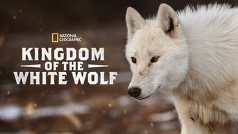 #3 Королівство білого вовка