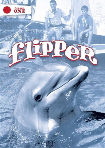 Flipper - Season 2