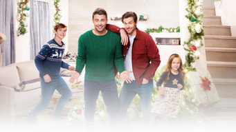 #7 The Holiday Sitter