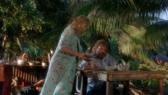 #11 Castaway