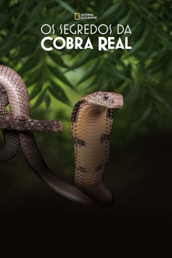 Secrets of the King Cobra