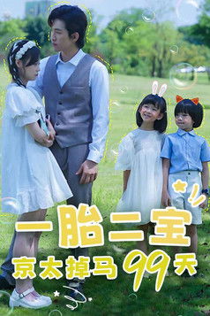 一胎二宝：京太掉马99天 poster