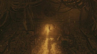 Rosa (2011)