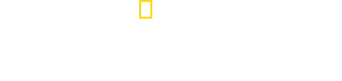 The Long Road Home logo