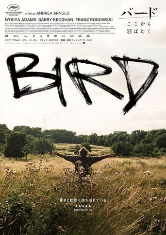 バード ここから羽ばたく (2024年)のポスター画像 - FindKey