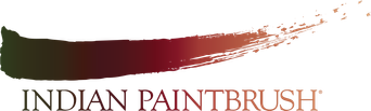 Indian Paintbrush