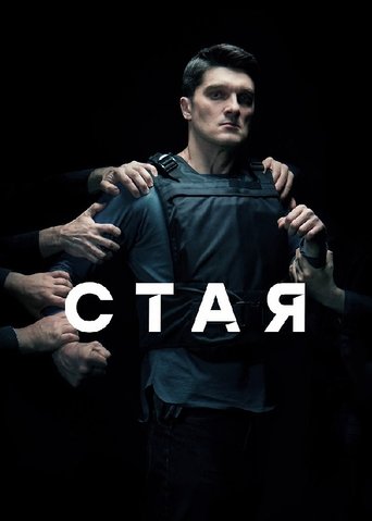 Poster of Стая