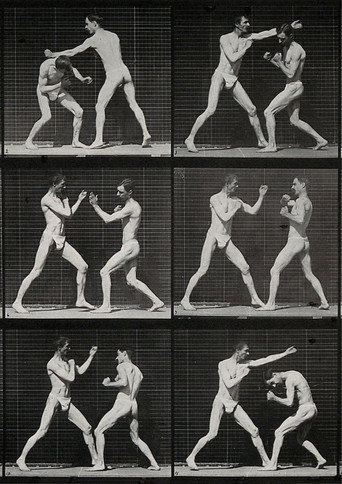 Two men boxing