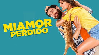 Galeria 1 - Miamor perdido