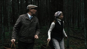 #6 Mushrooming