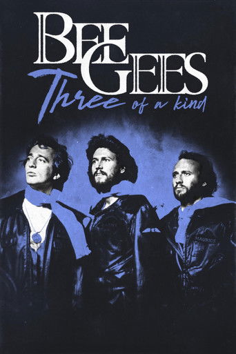 Bee Gees: Three of a Kind poster