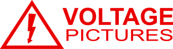 Voltage Pictures