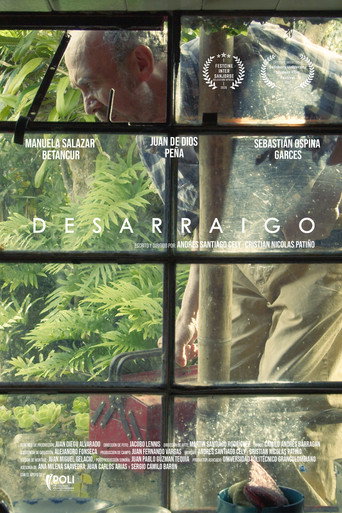 Desarraigo — Pôsteres 2