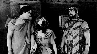 #5 Salome