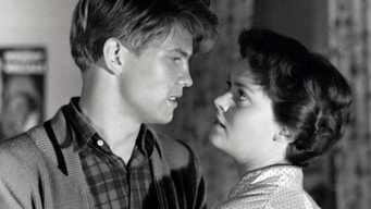 Always Trouble (1955)