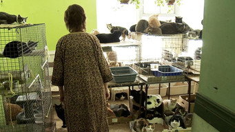 Cat Ladies (2009)