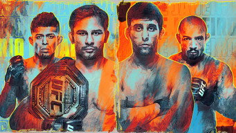 UFC 301: Pantoja vs. Erceg (2024)