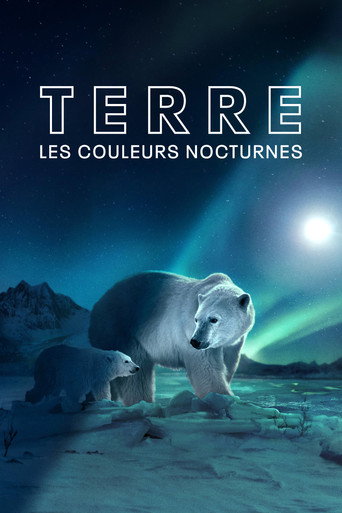 Terre : les couleurs nocturnes — affiche alternative